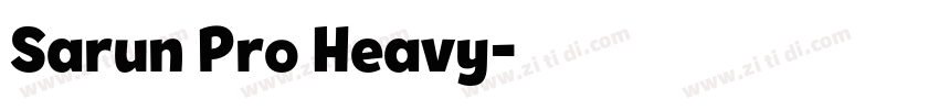 Sarun Pro Heavy字体转换